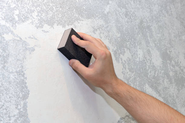 Best Mold Removal for HVAC Installations  in Bothell, WA