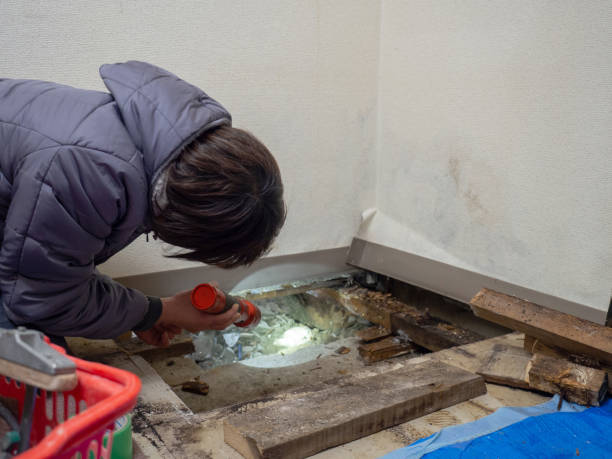 Best Mold Remediation for Healthcare Facilities  in Bothell, WA