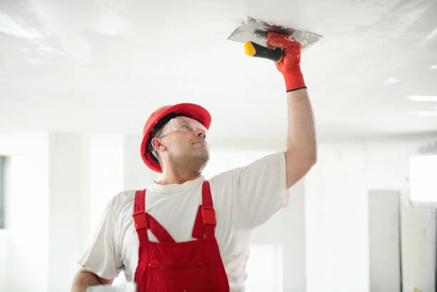 Best HVAC Mold Inspection and Cleaning  in Bothell, WA