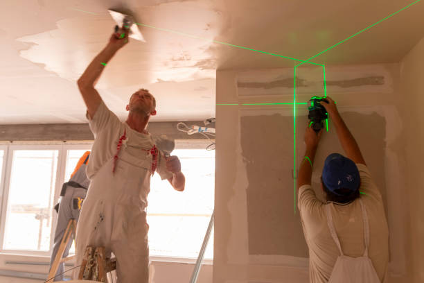 Best Attic Mold Removal  in Bothell, WA